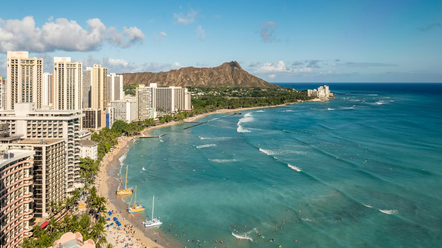 ハワイの旅行情報。ハワイのあたらしい魅力をお伝えします | NEWT（ニュート）